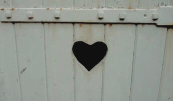 char, chris, jennie, emmy, saige, ella, indi, lei, liv, charlie, & many more!